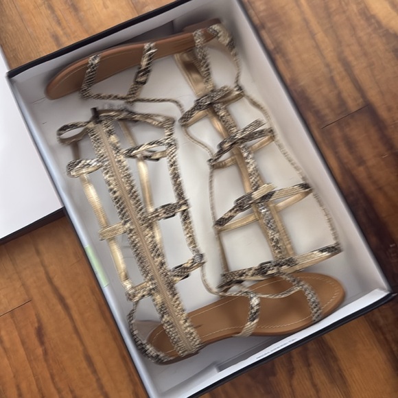 Brand New with box size 8 gladiator calf sandal- snake print .. - Picture 8 of 11